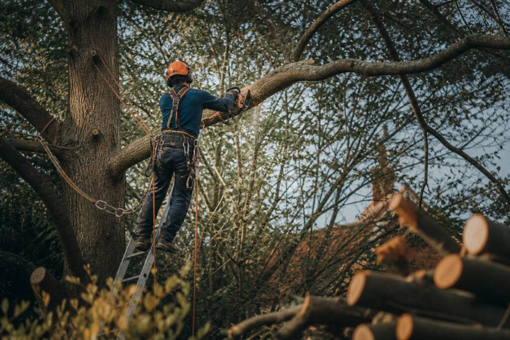 Arboriste équipé coupant une branche dans un jardin